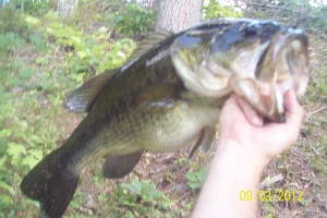 bassmasterrick